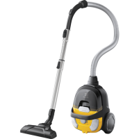 Пилосос Electrolux ECGC21-2Y